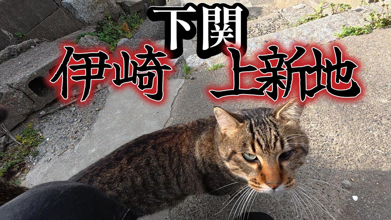 【下関市】伊崎・上新地【廃墟・狭路】