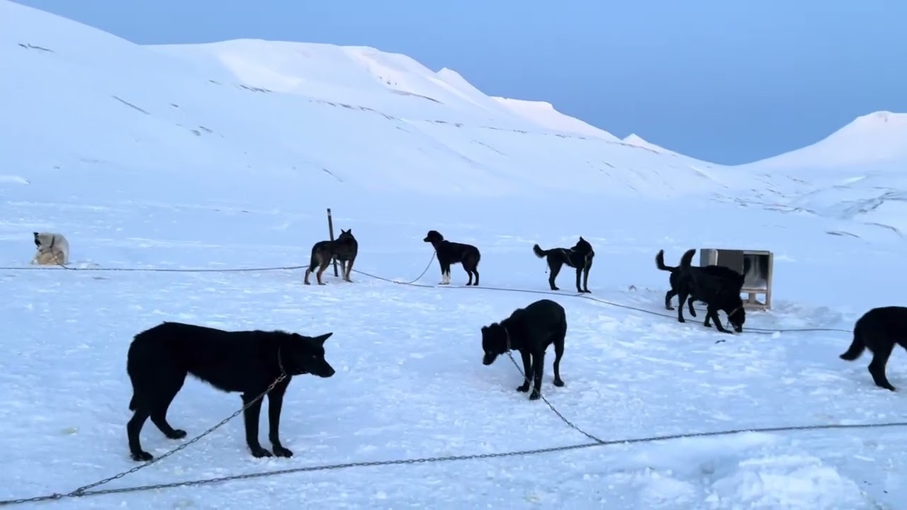 Svalbard 2026