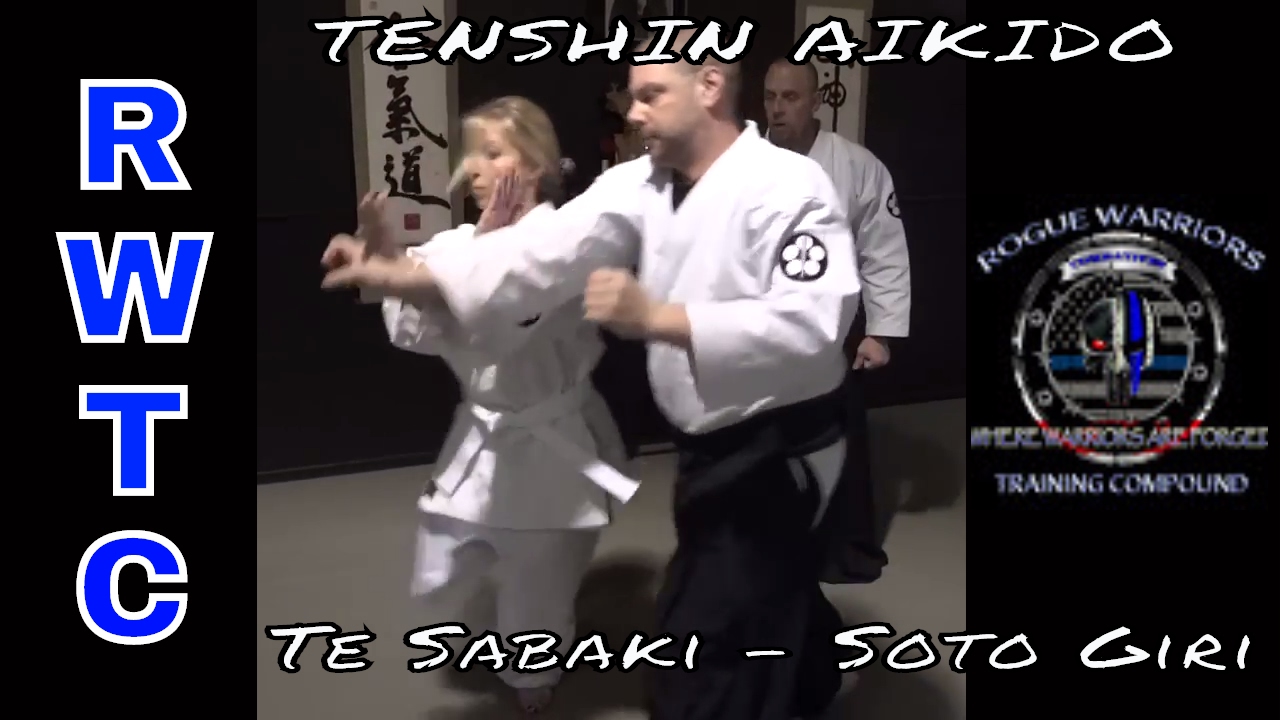 Отклонение руки наружу в айкидо #takaingaikidoback