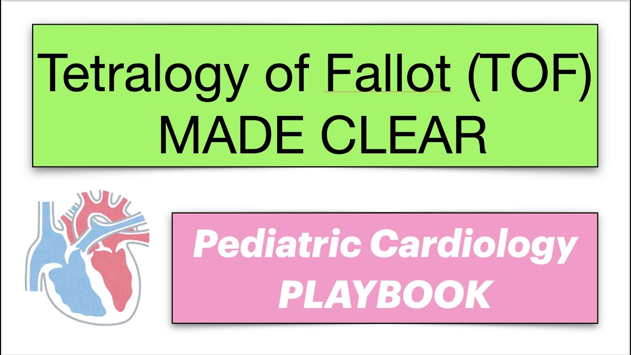 [8 mins] Tetralogy of Fallot (TOF)  MADE CLEAR by Pediatric Cardiology PLAYBOOK