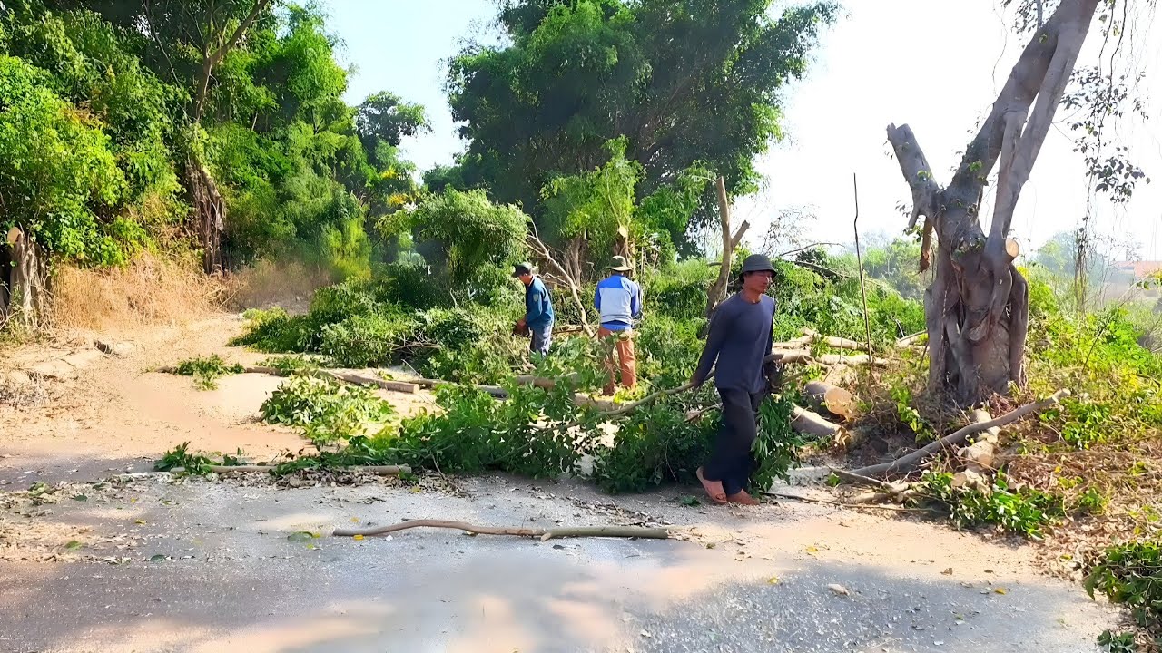 The Shock - Reviving a Road Buried 20 Years Ago - Part 1