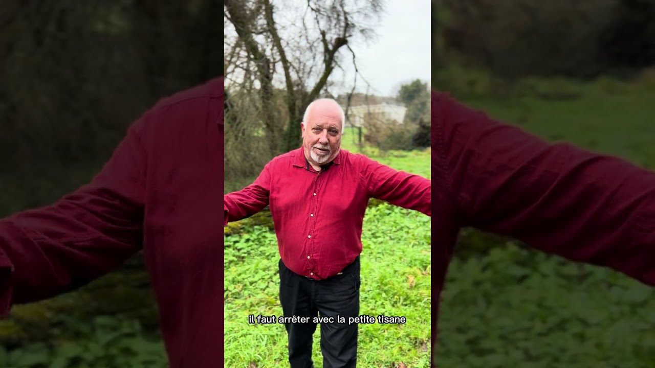Pascal Lamour, druide et Dr en pharmacie - Se soigner par les plantes - Module 2 / le bouleau