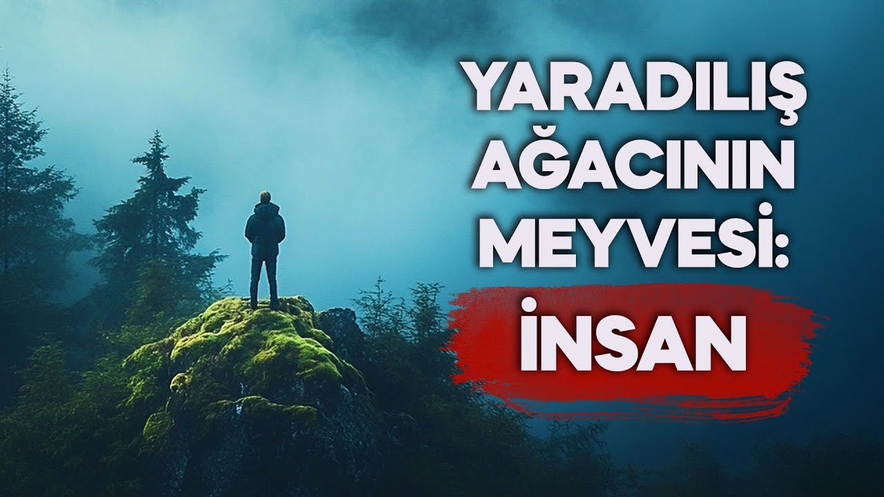 Yaradılış ağacının meyvesi: İnsan - Dr Ahmet &Ccedil;olak