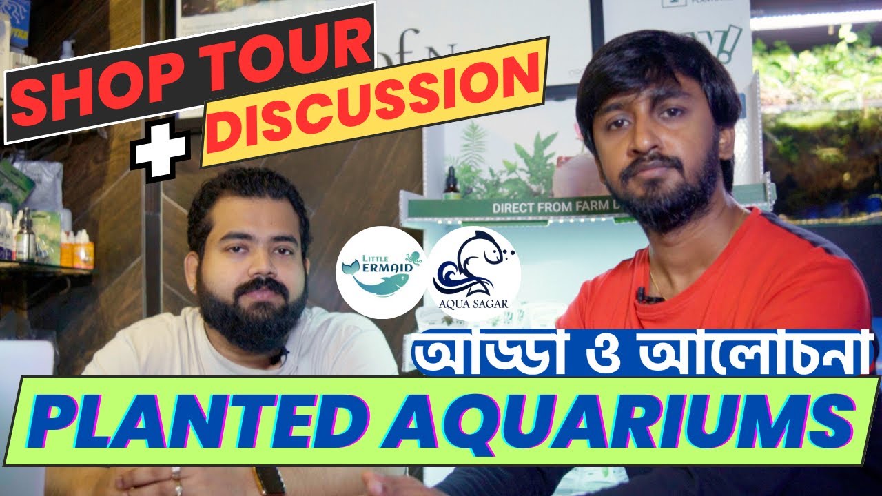 Visiting Aquarium Shop in Kolkata | Discussing Planted Aquariums | Podcast