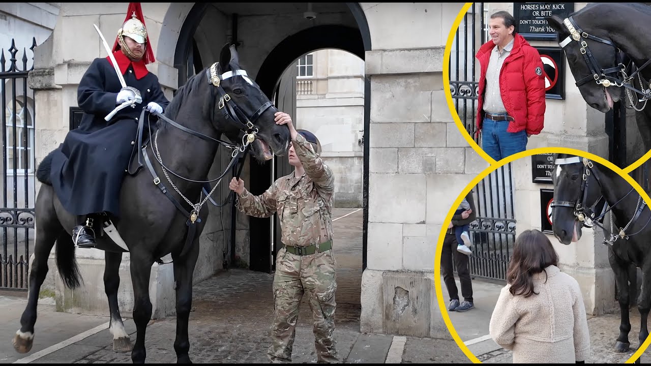 KING'S HORSE Gets FRUSTRATED and QUITS Because of THIS ‼️🐴