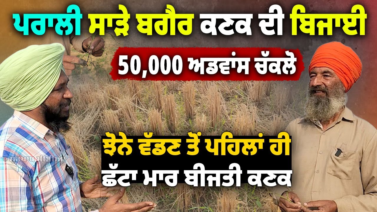ਪਰਾਲੀ ਸਾੜੇ ਬਗੈਰ ਵੱਧ ਝਾੜ ਵਾਲੀ ਕਣਕ | No Burning, More Earning: The Power of Surface Seeding Wheat