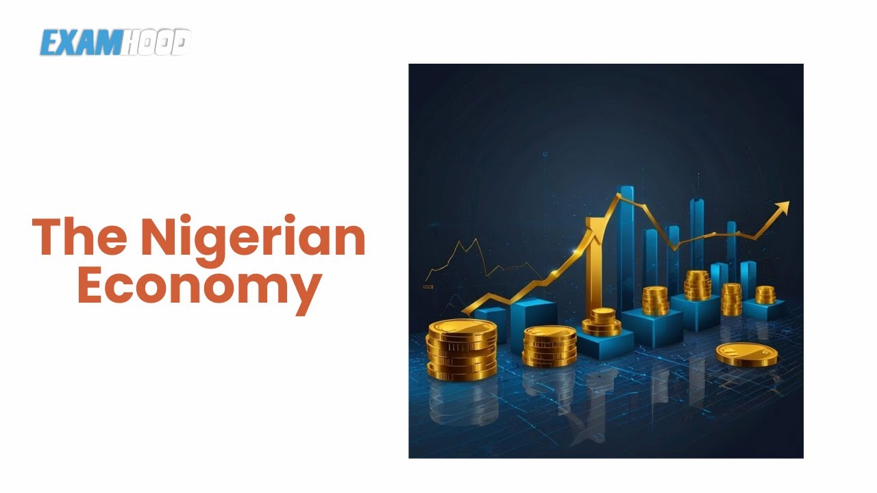 The Nature of The Nigerian Economy