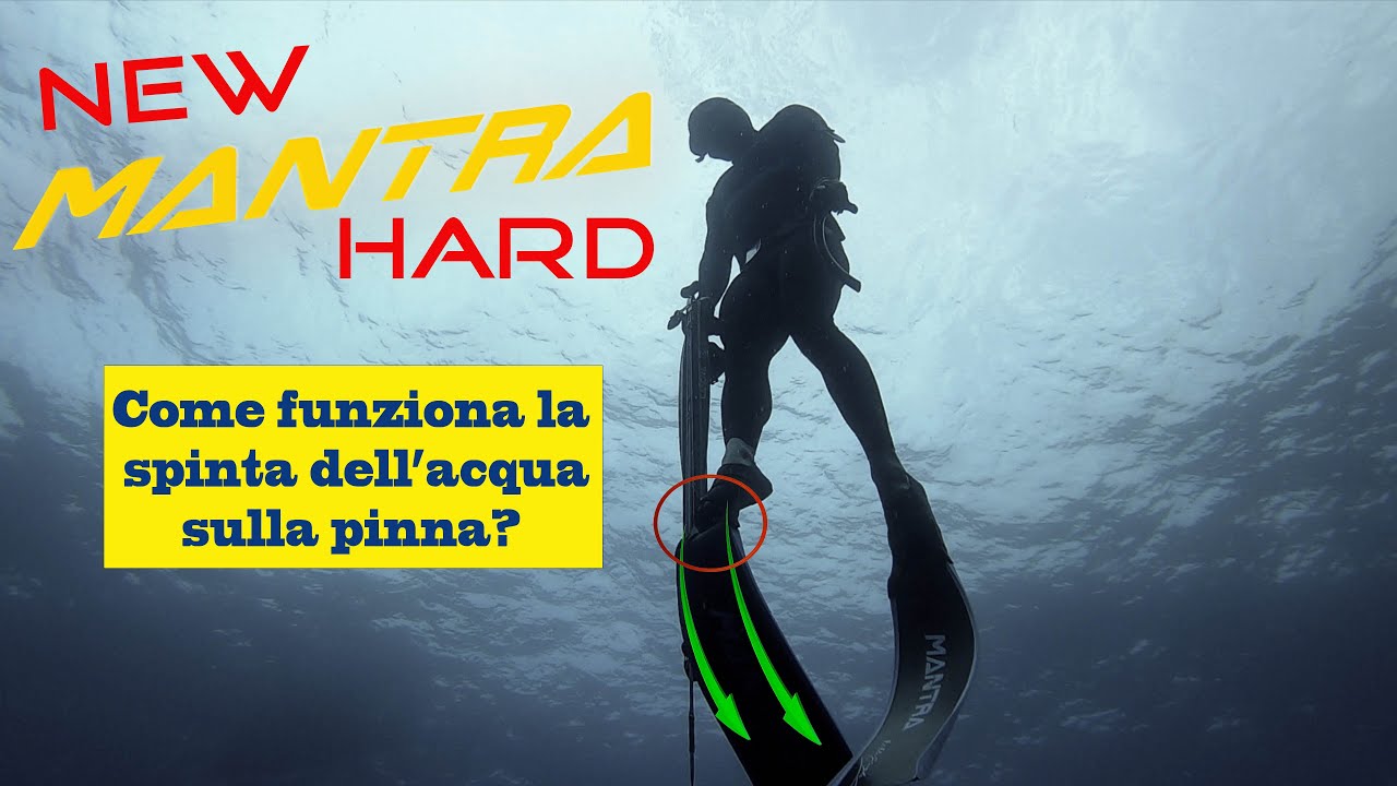 Come funziona la spinta dell'acqua sulla pinna?🌍subtitle  [ Michele Giurgola ]