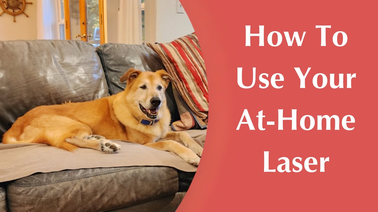How To Laser An ACL/Cruciate Injury