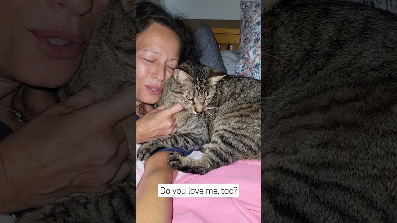so sweet. so gentle. so loving. #cat #catvideos #catvideo