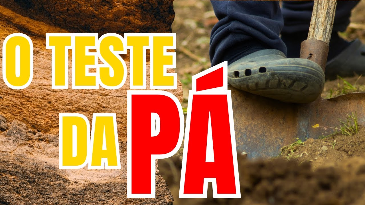 NÃO COMPRE TERRENO antes de fazer o TESTE DA PÁ