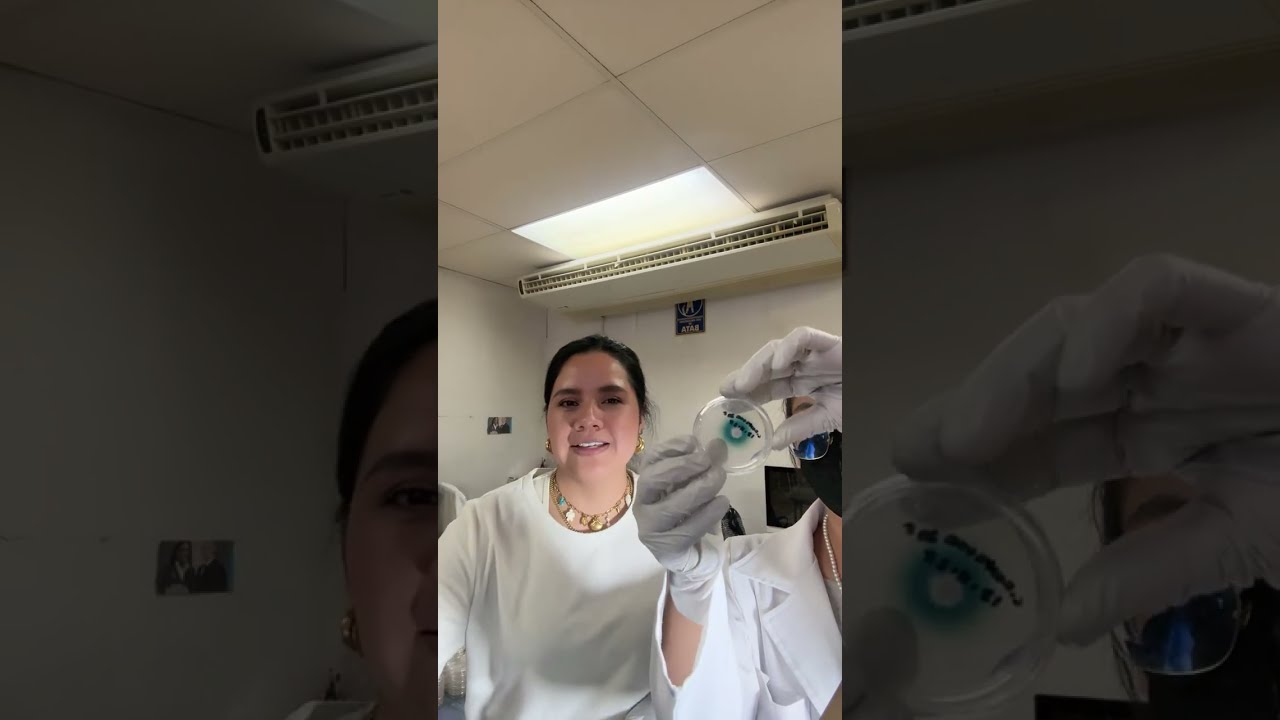 Hey estábamos tomando fotos en festivo 