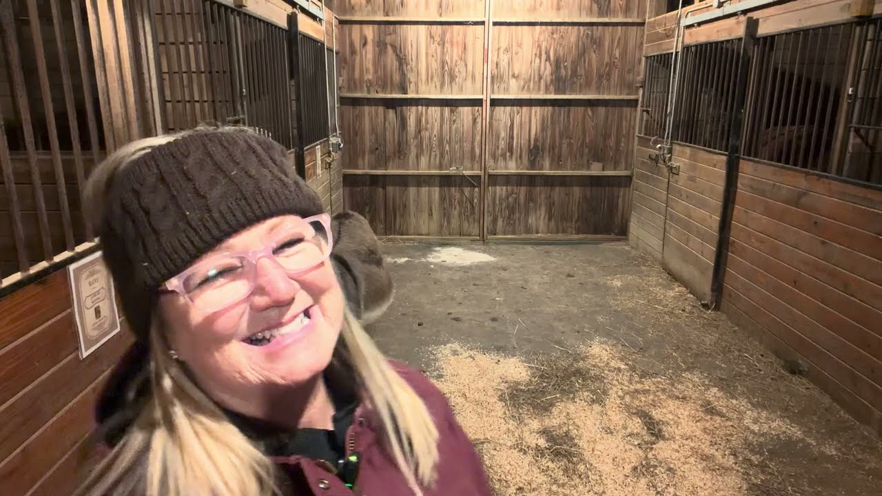 Time to feed the horses. Sunday night 