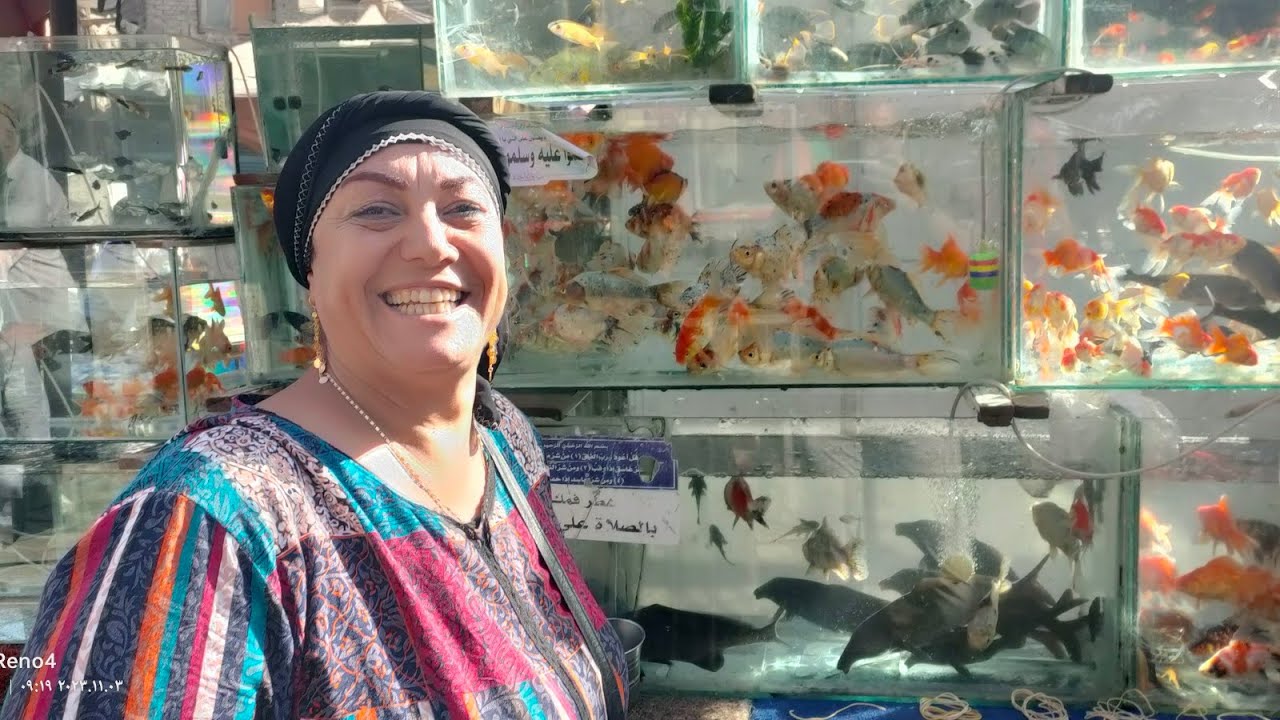 ام حنان كينج فيش سوق الجمعه بالسيده عائشه عروض وتخفيضات قبل رفع الأسعار