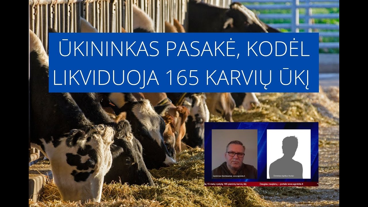 Ūkininkas pasakė, kodėl nusprendė likviduoti 165 melžiamų karvių pieno ūkį