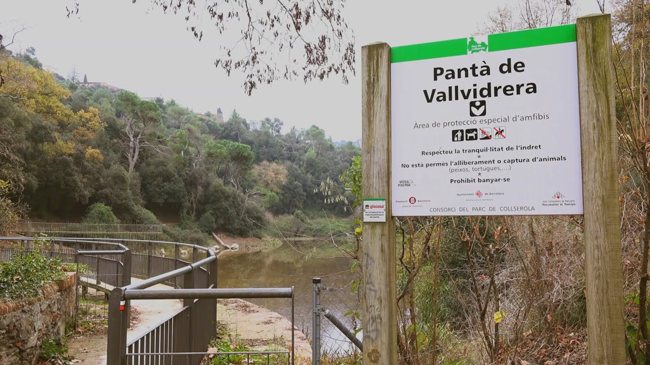 Pantano de Vallvidrera