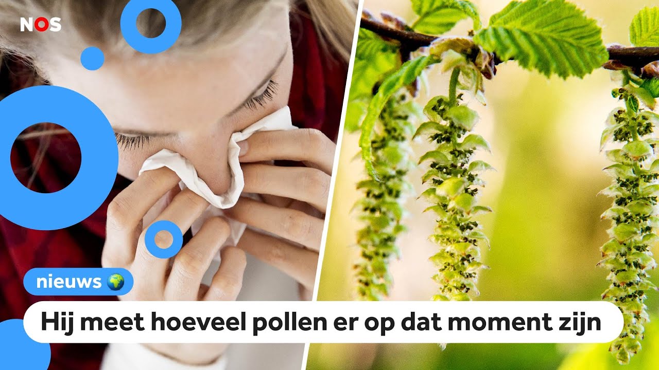 Pollenpaal helpt mensen met hooikoorts