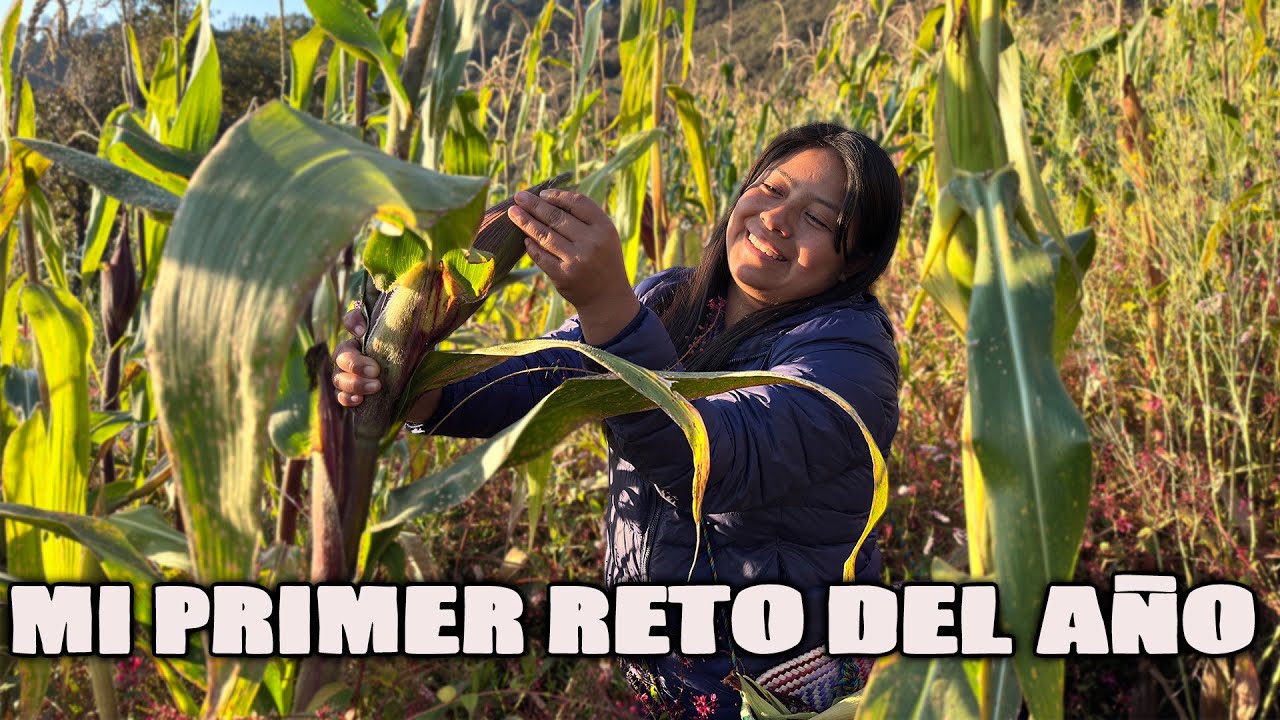 Regreso a la tierra, donde mi abuelito se quedaba varios días a cuidar su cosecha de maíz
