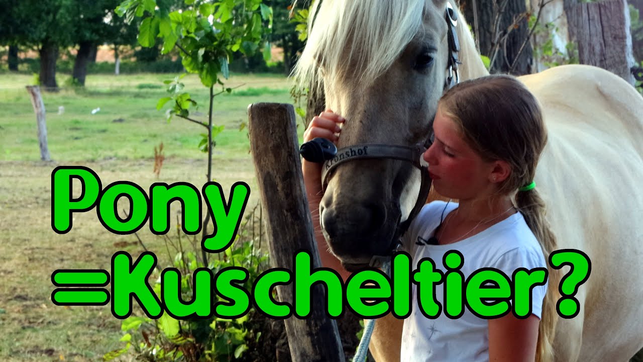 Pony = Kuscheltier?