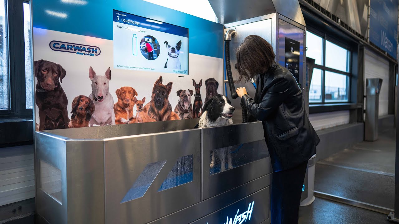 Dogwash Easy and Go 2 0