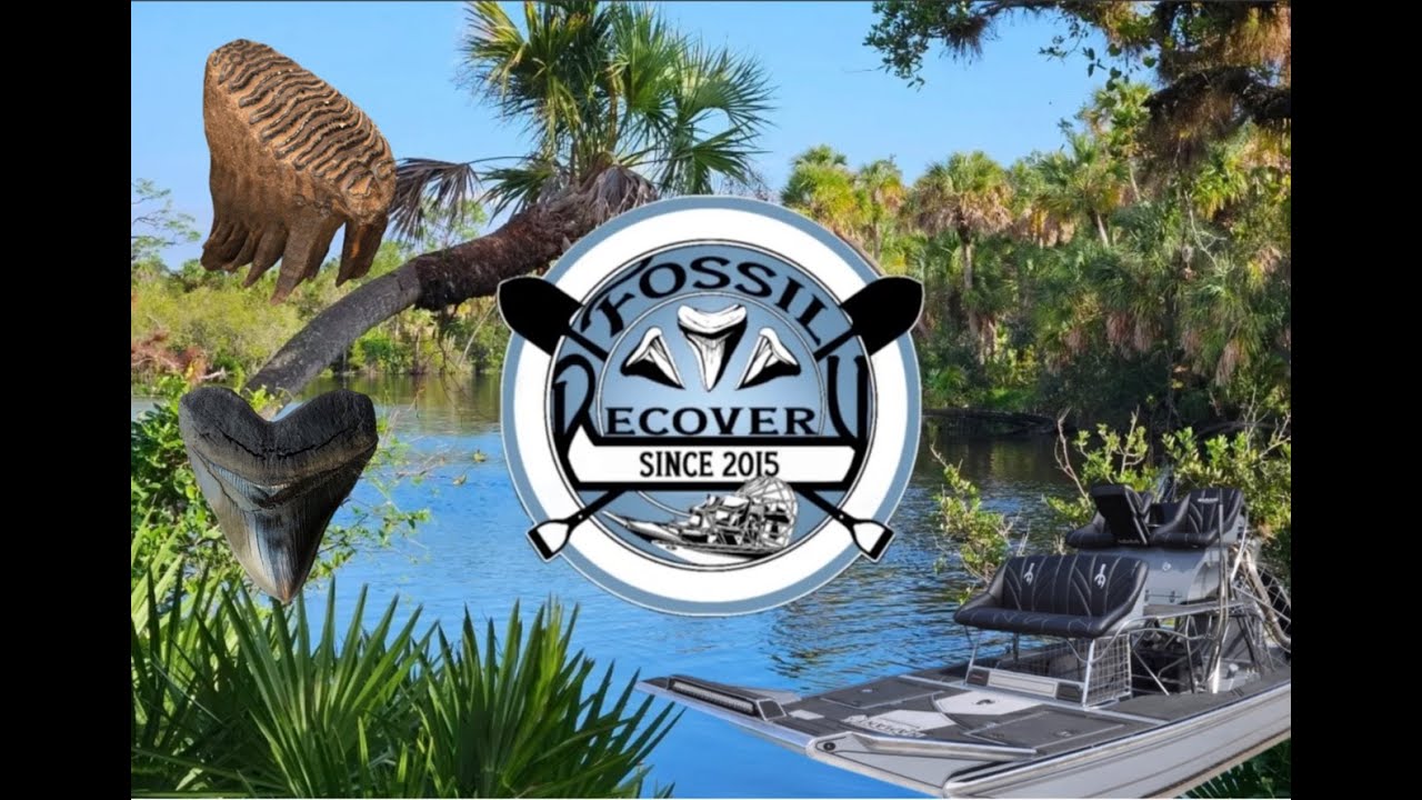 Fossil Recovery.  Take  Airboat Find Million-Year-Old Fossils. Meg Shark Mammoth Mastodon MUCH MORE