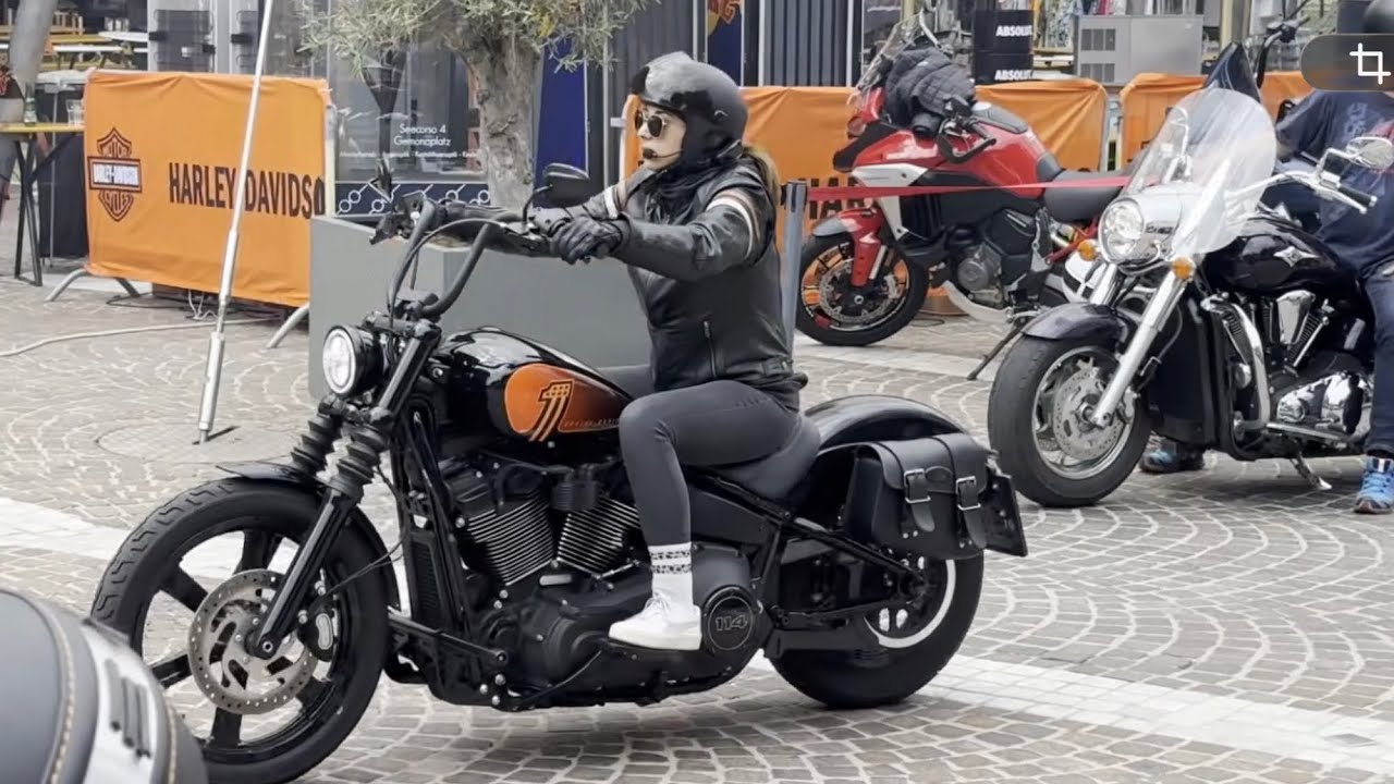Harley, Best of 2024 and 2025 Part 9#harley #custom