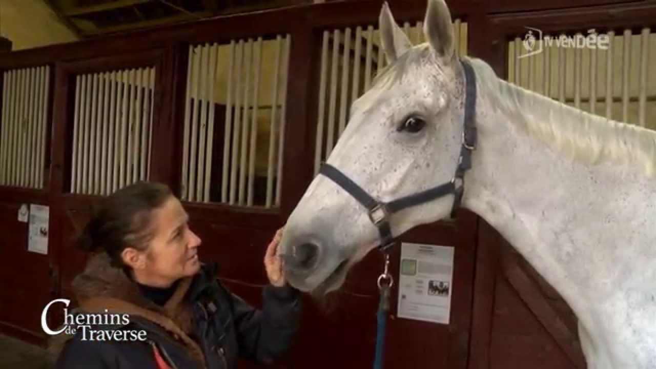 Chemins de traverse : Haras de la Vendée