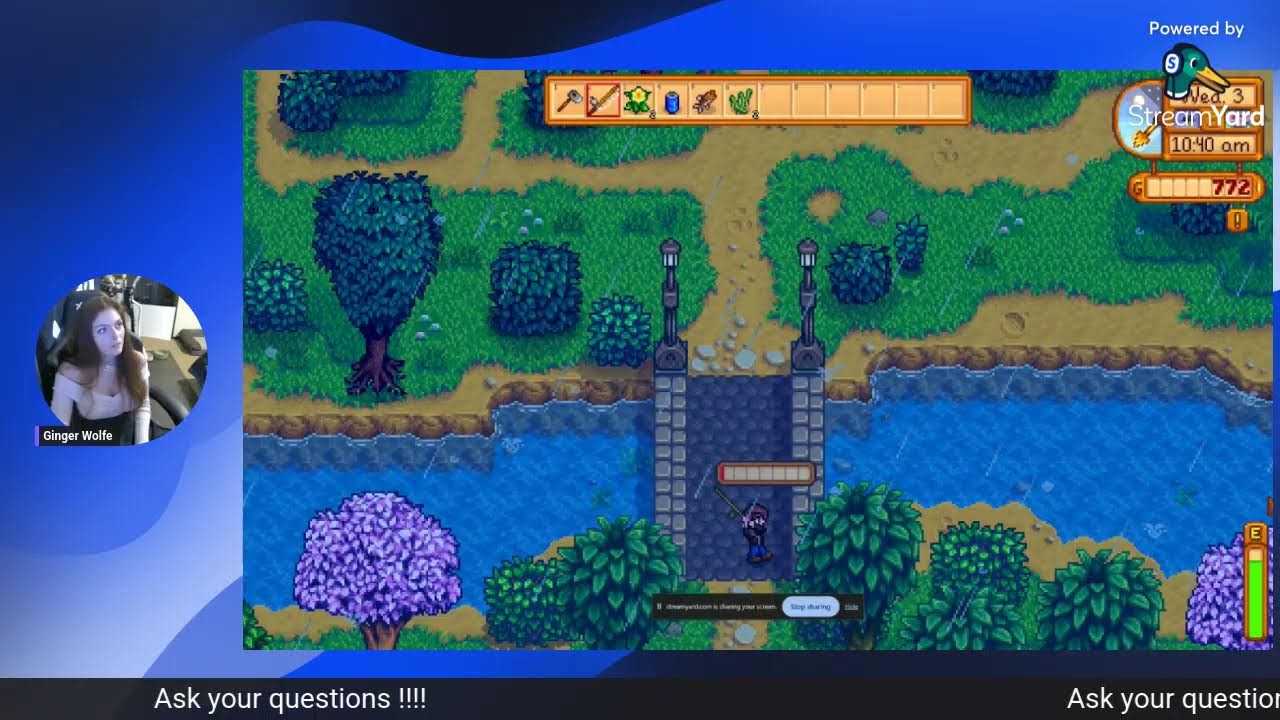 Stardew Valley and Q&A