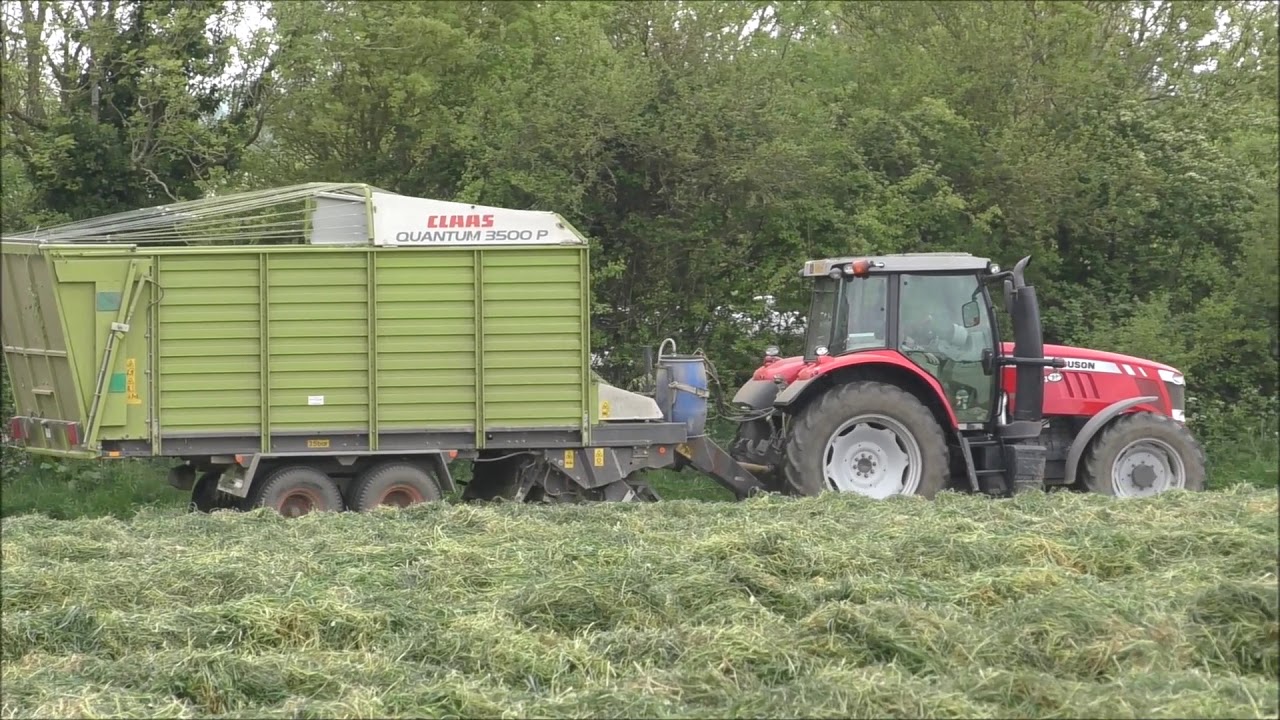 Forage wagon grass silage, May 2018.