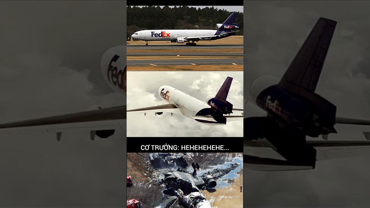 GẶP TAI NẠN KHI HẠ C&Aacute;NH- FEDEX 80| FEDEX 80+CVR| TTN PLANE 36| #fedex #md11 #plane #planecrash #2009