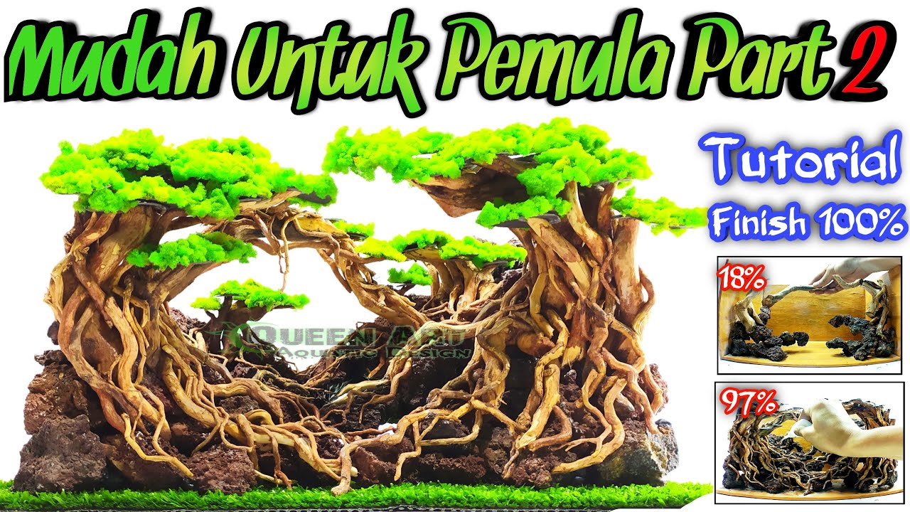 Создание жесткого ландшафта The Jungle Aquascape для NanoTank