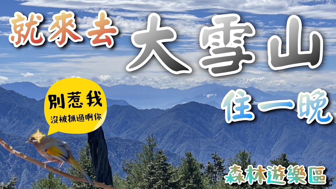 你真懂 ? 😏大雪山國家森林遊樂區 開箱小木屋 | 實測5條健行步道 | 山景 | 神木 | 動物 一次滿足.  雪山神木/啞口觀景台/木馬道/天池/惠來大雪山/大雪山小神木