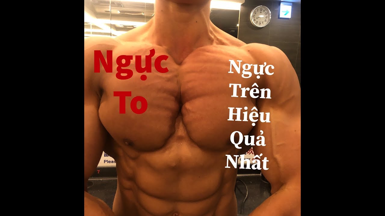 BÀI TẬP TỐT NHẤT XÂY DỰNG NGỰC TRÊN | KĨ THUẬT TẬP NGỰC CHO NGƯỜI MỚI TẬP