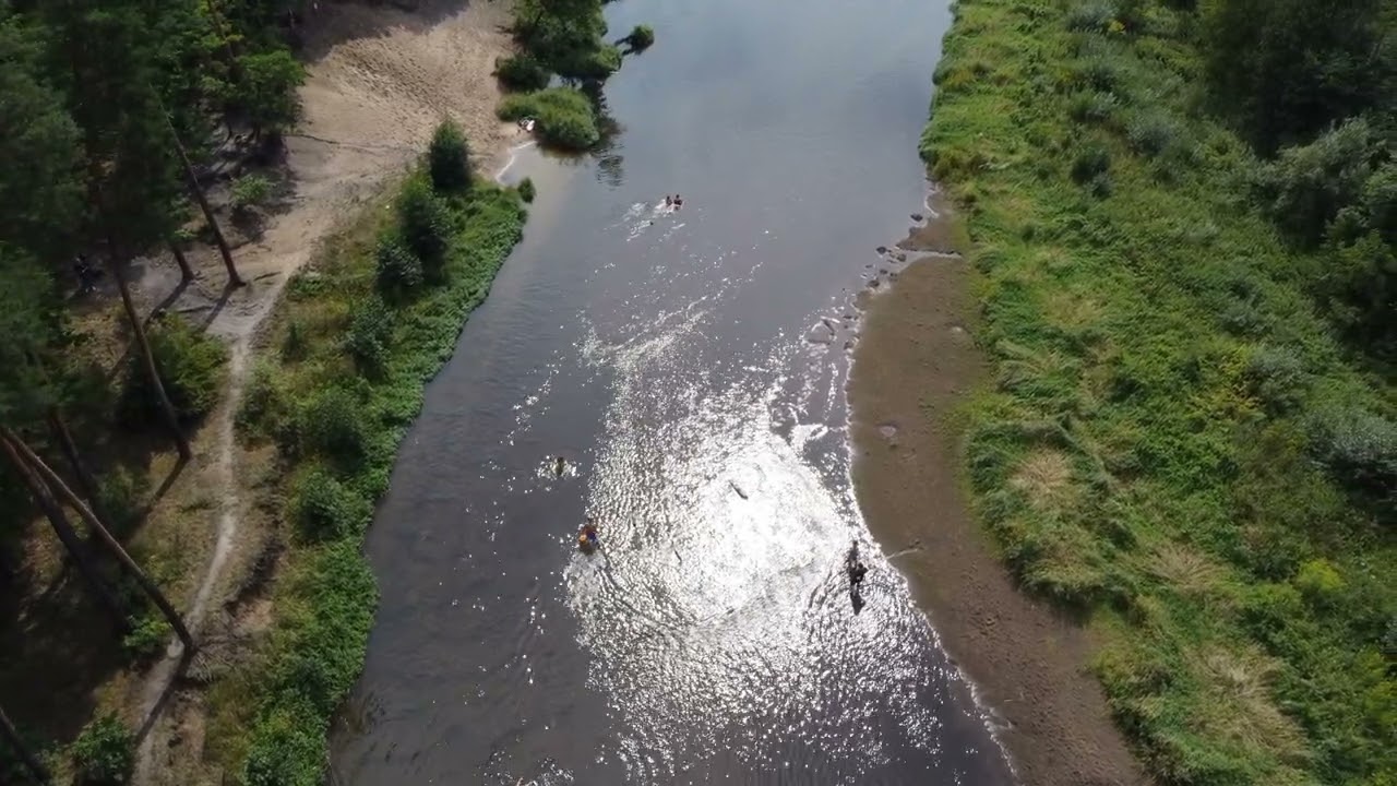 Rzeka Liwiec w Nadkolu, plaża w lesie