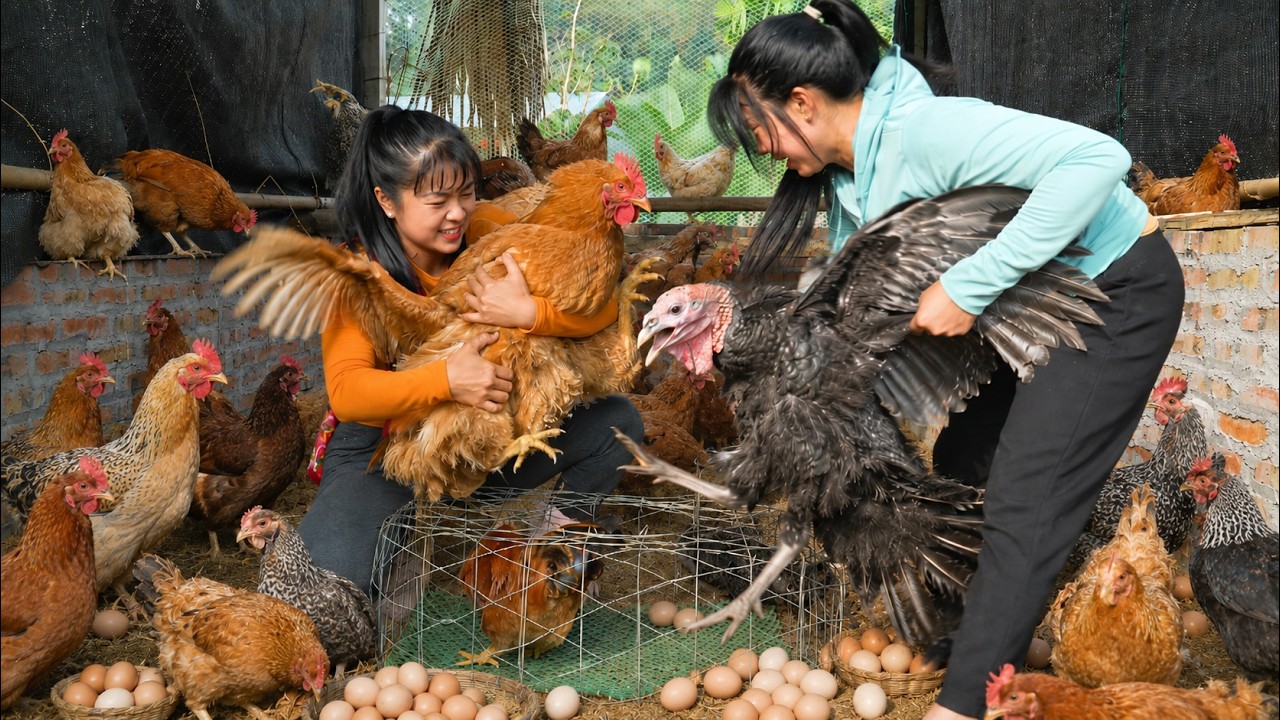 [ TIMELAPSE ] She Found Giant Chickens Guarding Hundreds of Fresh Eggs