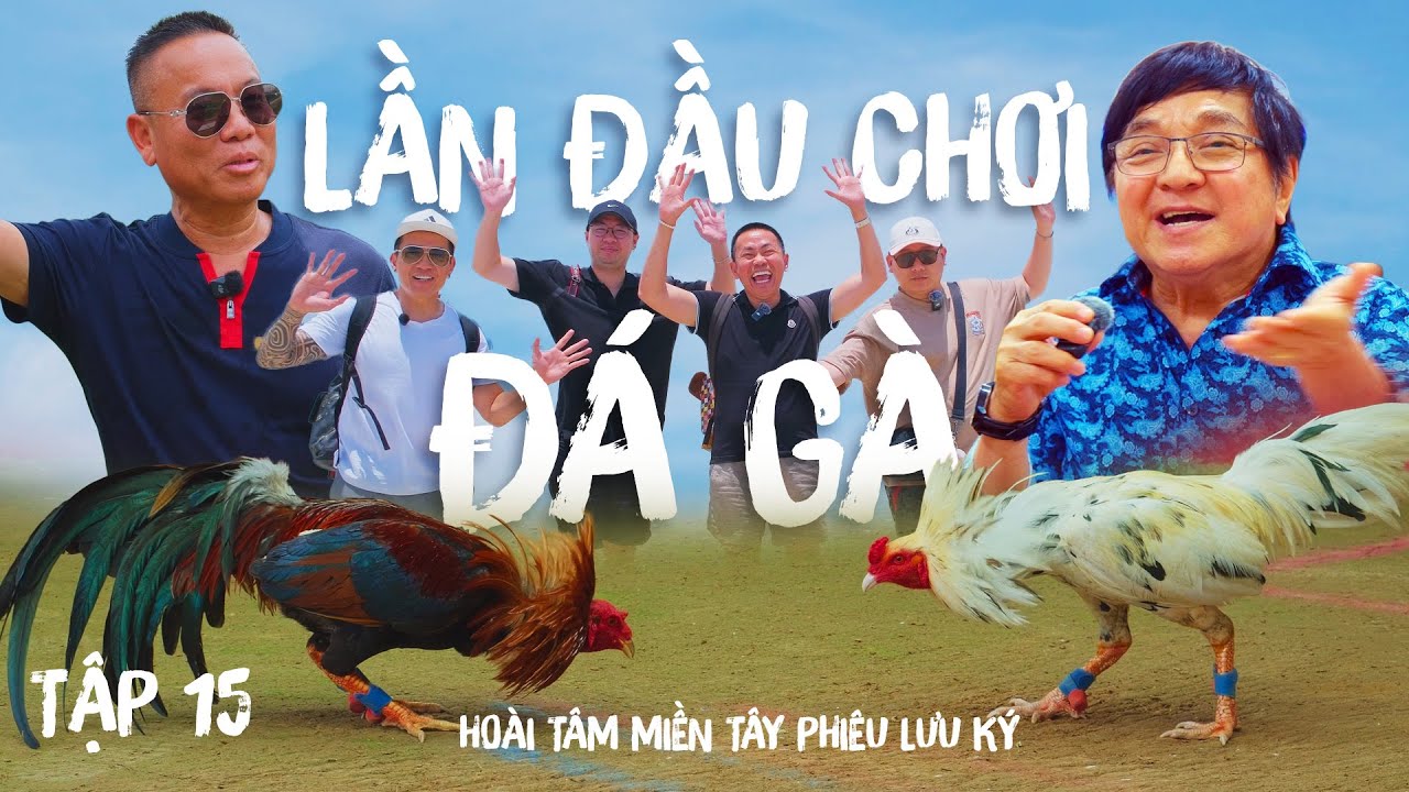Hoài Tâm Miền Tây Phiêu Lưu Ký - Tập 15 - Trại gà đá hơn 1000 con ở Kiên Giang
