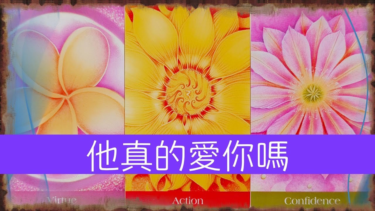 他真的愛你嗎？他真愛一個人的表現？是對的人嗎  |曖昧|愛情|戀愛|桃花|塔羅占卜|