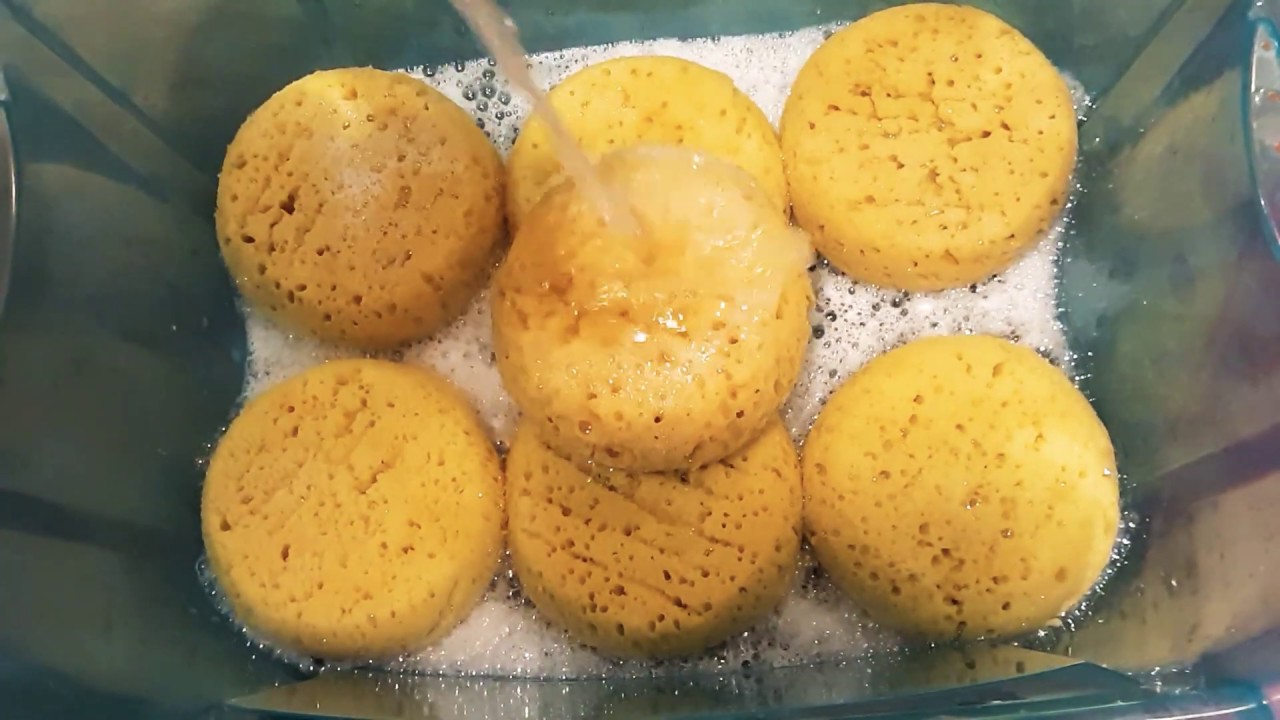 💦 Pinalen rinse w zep-soaked bath sponges 💦
