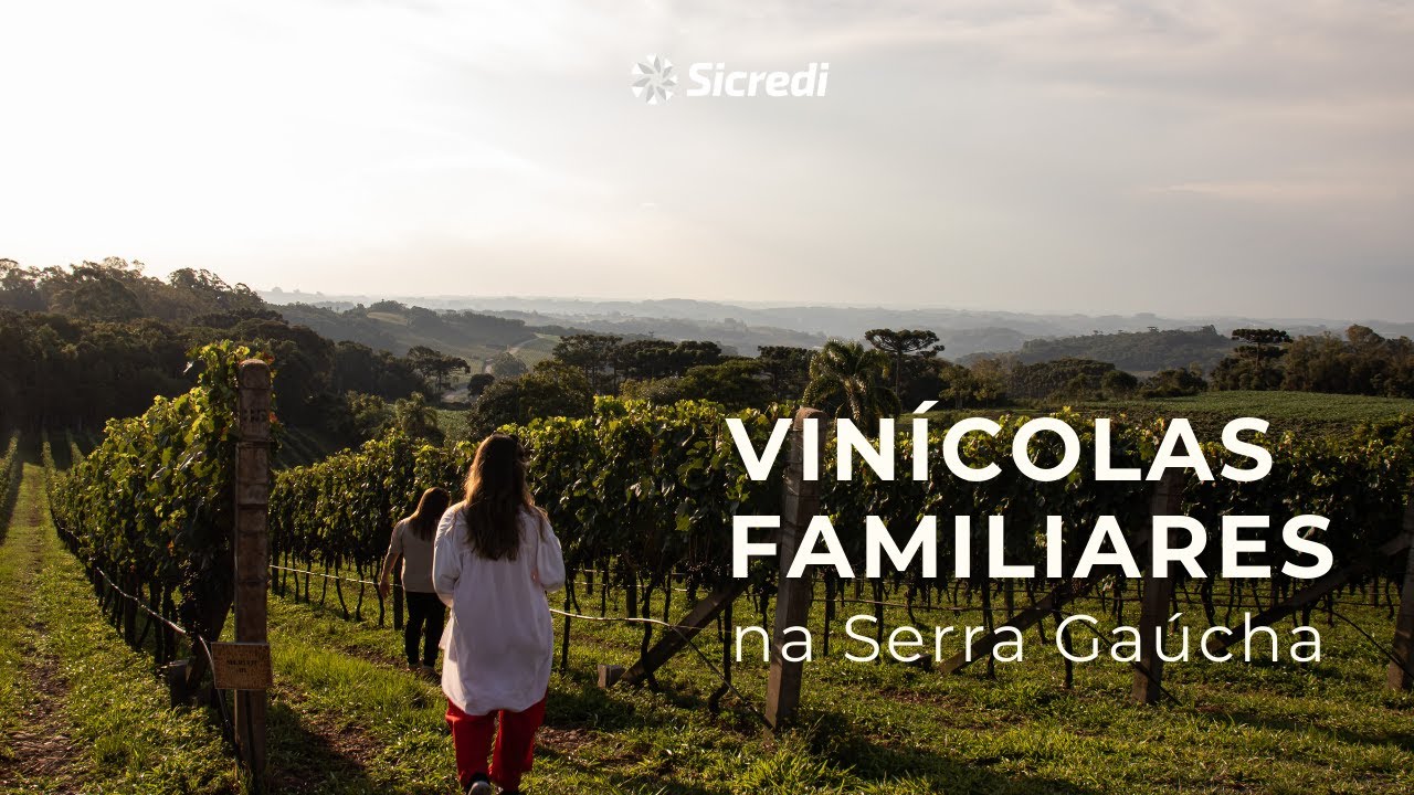Vinícolas familiares na Serra Gaúcha | Guia Fora do Óbvio da Serra Gaúcha