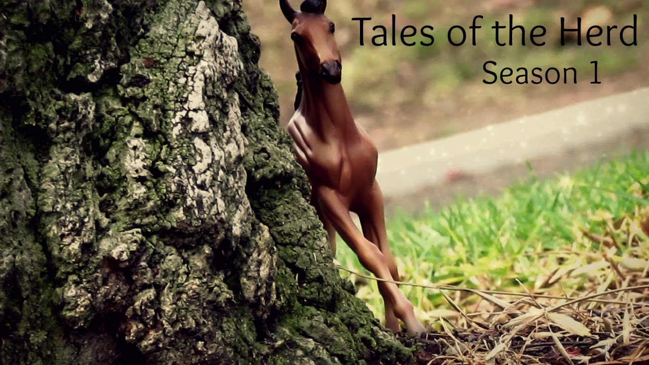 Tales of the Herd (Breyer Horse Series) S1 E1 