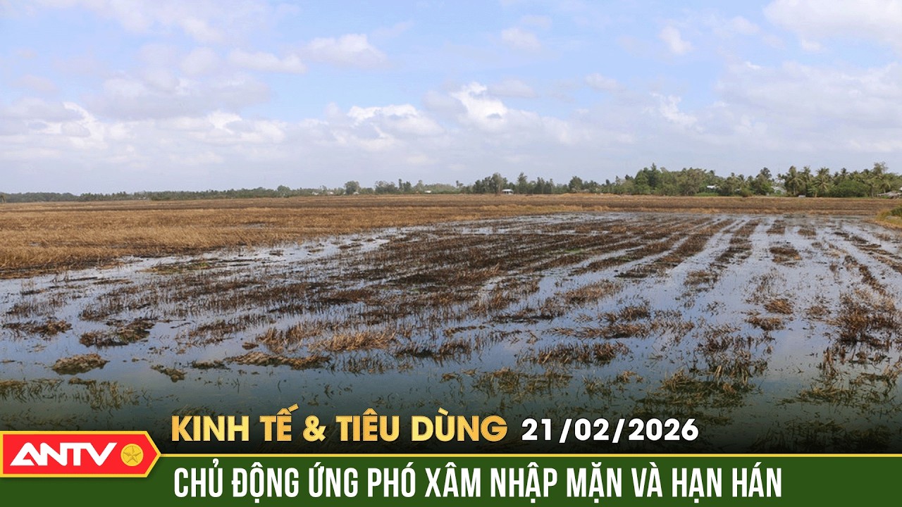 Bản tin kinh tế và tiêu dùng ngày 21/2 (Mùng 5 Tết): Chủ động ứng phó xâm nhập mặn ở ĐBSCL | ANTV