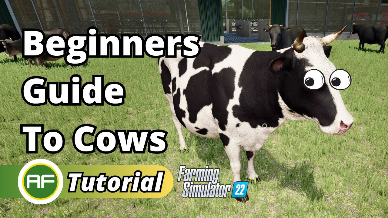 Beginners Guide To Cows In Farming Simulator 22