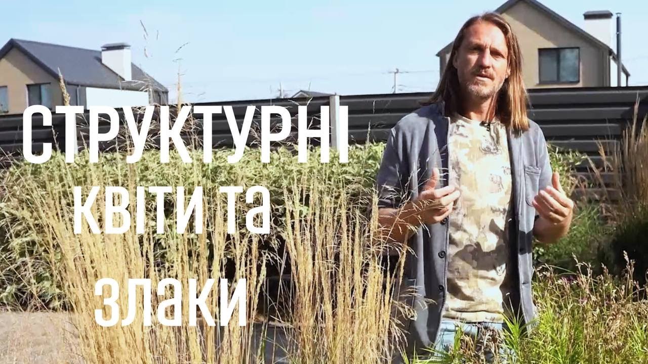 ЛАНДШАФТНИЙ ДИЗАЙН | СТРУКТУРНІ КВІТИ ТА ЗЛАКИ