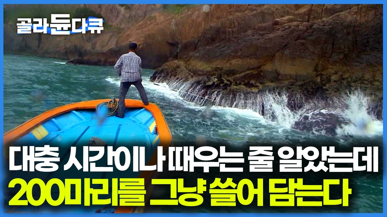 설렁 설렁 바다 놀러 나가는 줄 알았는데 고기 싹쓸이해버리는 낚시 고수였다｜한국기행｜#골라듄다큐