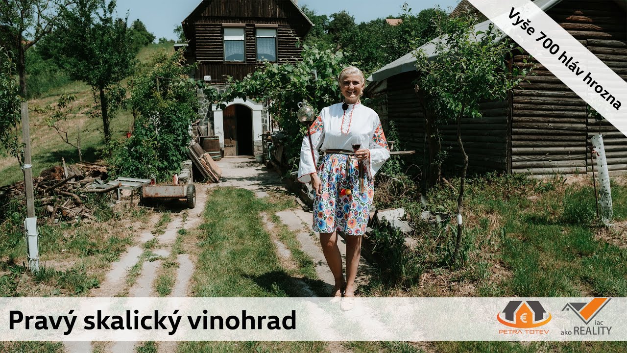 Pravý skalický vinohrad na predaj