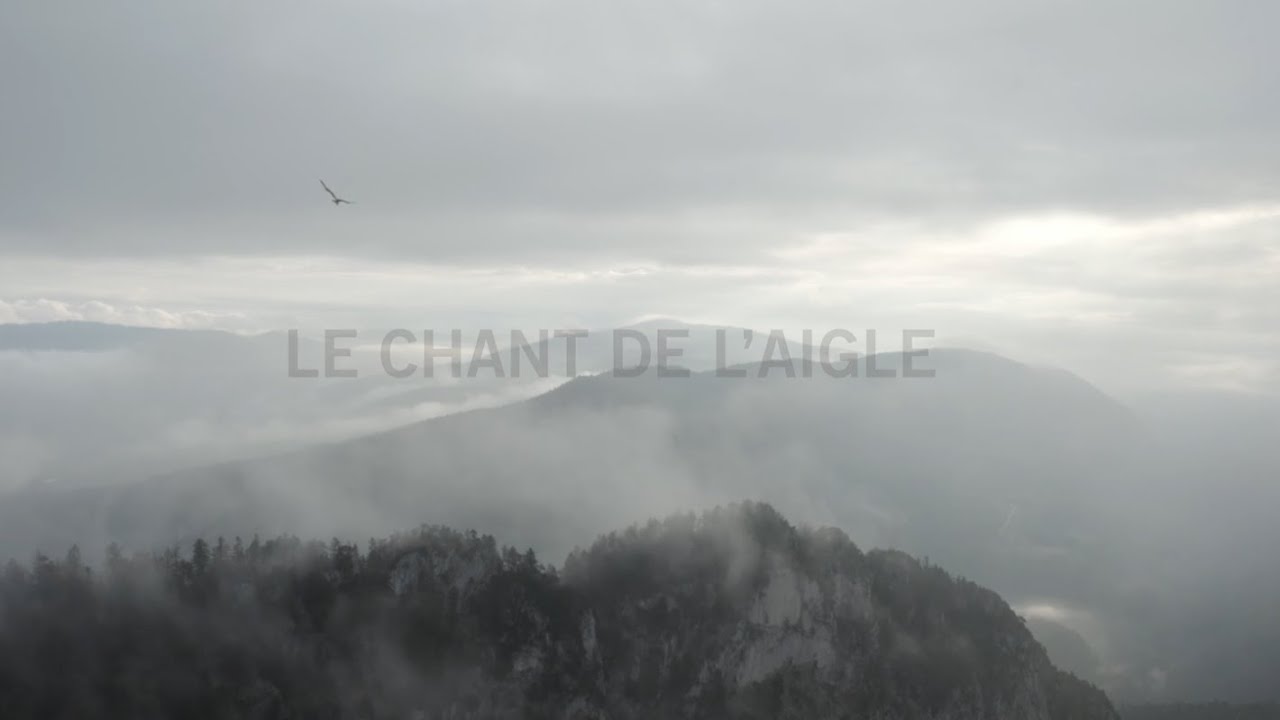 PAUL MAC BONVIN - LE CHANT DE L'AIGLE