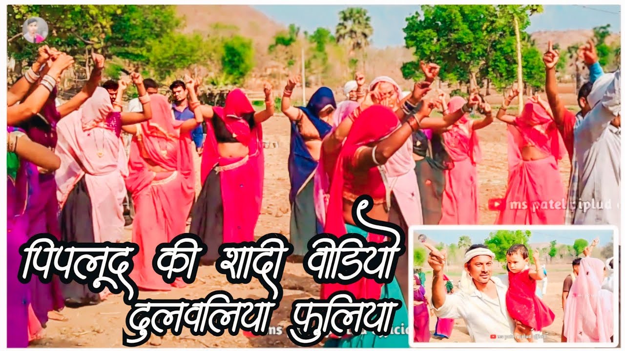 आदिवासी शादी डांस वीडियो पिपलुद || piplud ki shadi || Aadivasi shadi video || Aadiwasi video 2024