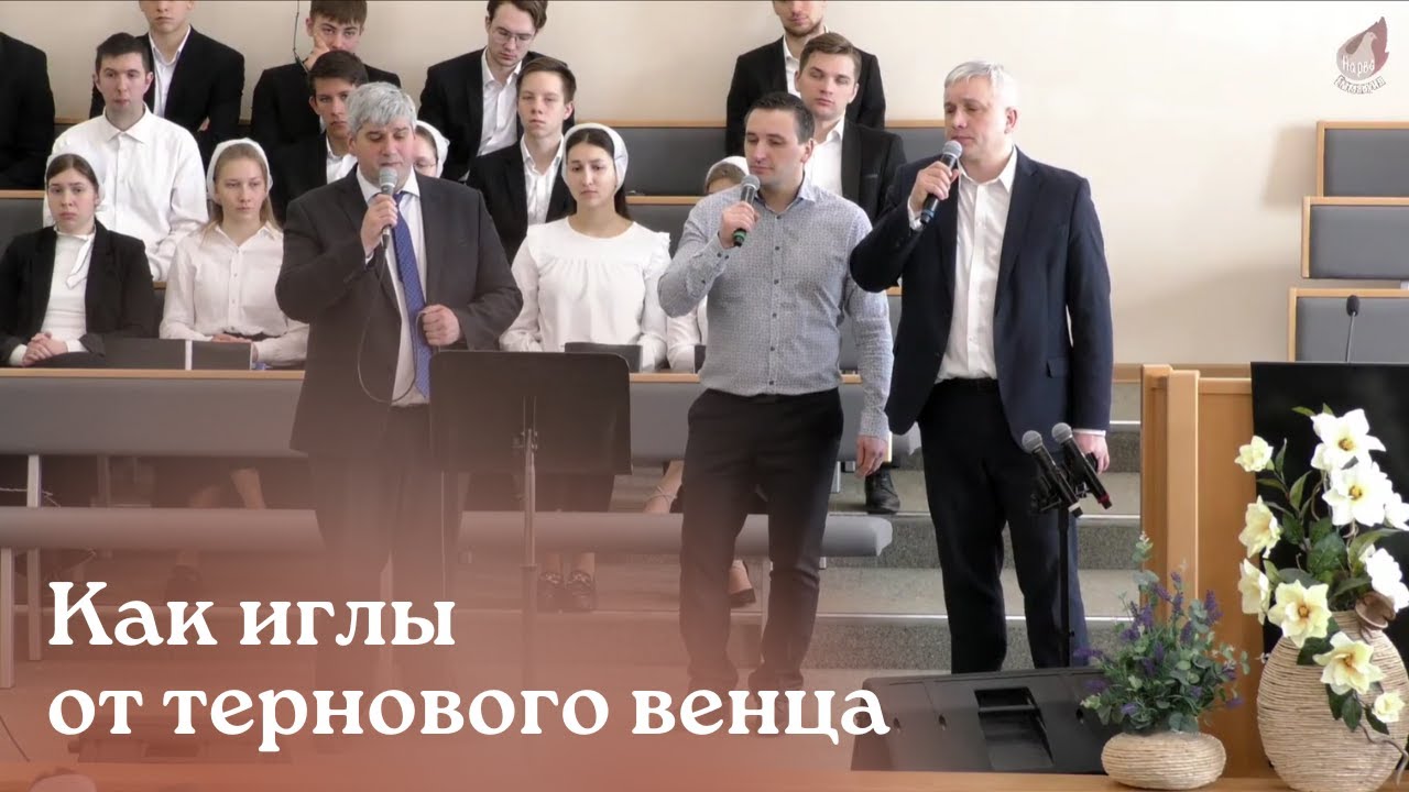 Как иглы от тернового венца...