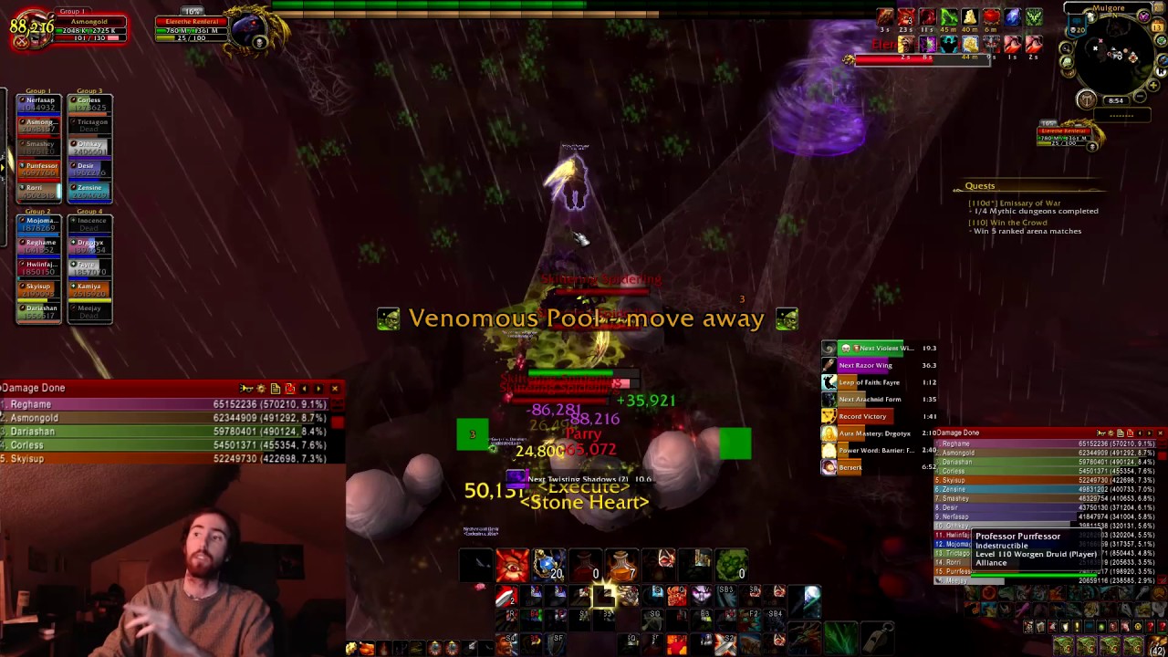 How to do MAXIMUM DPS on Mythic Elerethe Renferal
