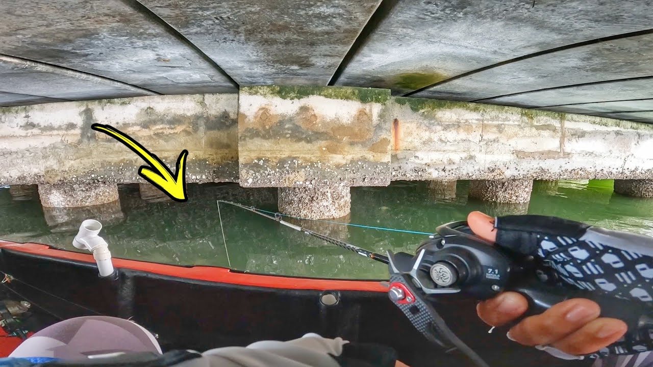 Bawah Jambatan Ini BANYAK Ikan Jenahak dan Kerapu!!
